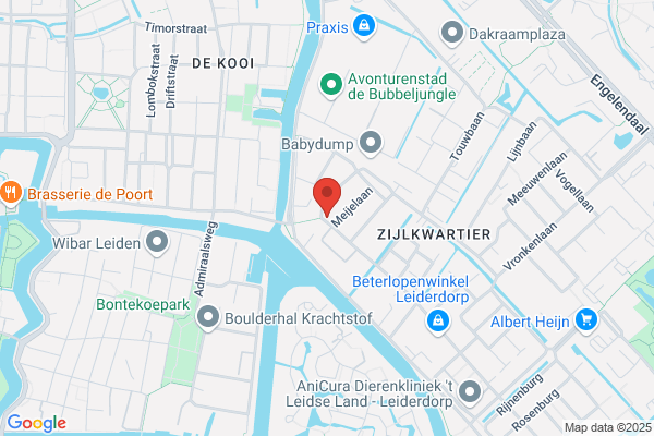Haarzaak