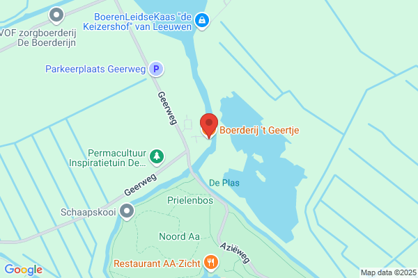 Meneertje Koekepeertje/De Kever
