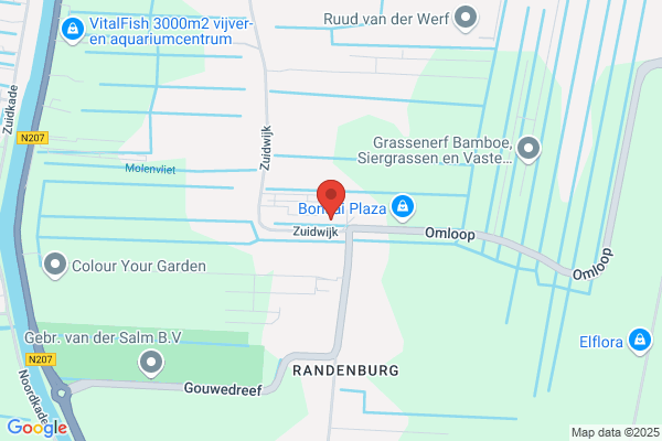 Hoed, Van Den