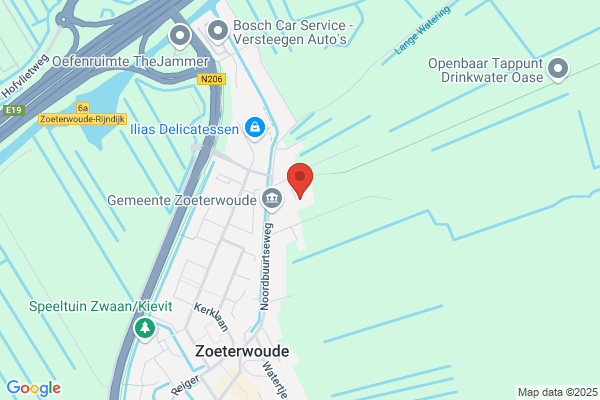 Blommers-Scheltes, D