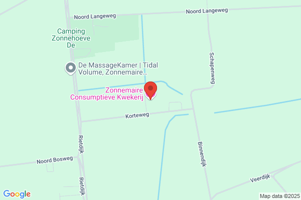 L J A Klompe Cv