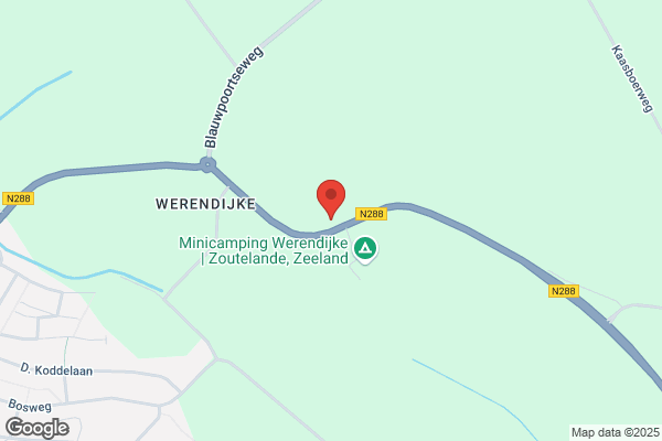 Wisse, P