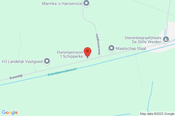 't Schipperke