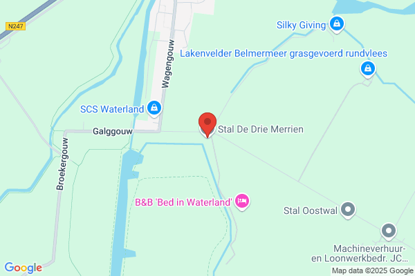Manege De Drie Merriën