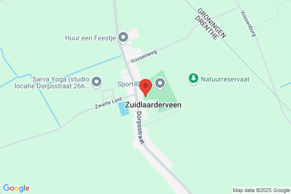 Dirigeer je Leven