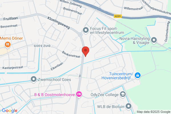 L.W. Goedbloed