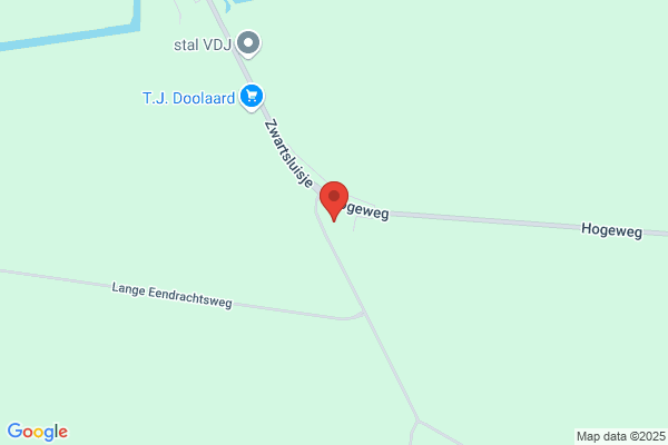 Teun De Jongh's Handelmaatschappij Bv