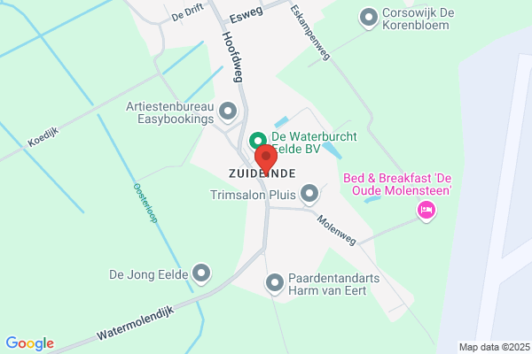Astrid Nieborg