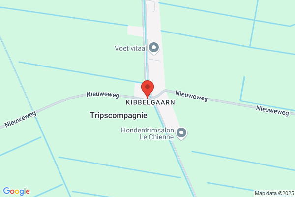 S Zuidersma