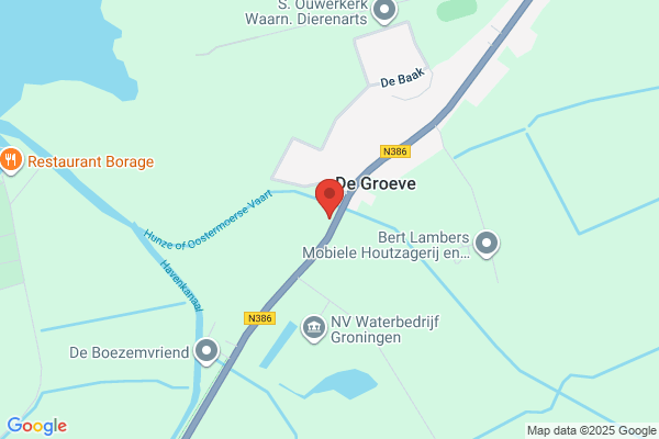 Kersenbloesem