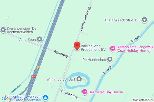 Bakker
