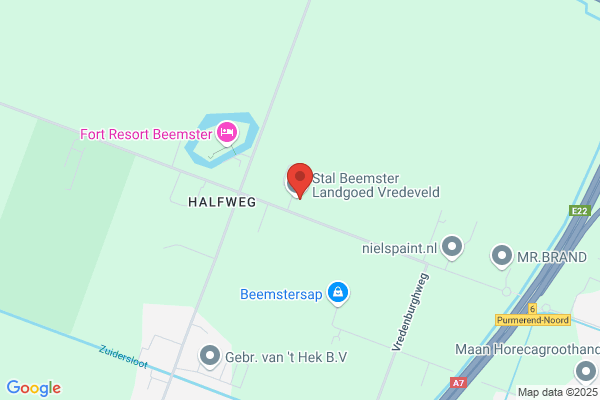 Reijer En Zoon Vof