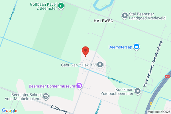Tolman, Dirk