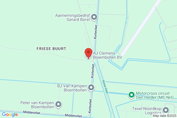 Clement Bloembollen Bv