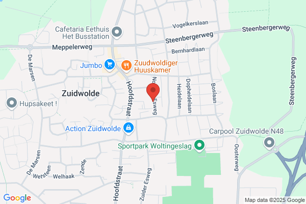 Orthopedagoog R W Westerink