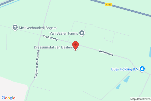 Dressuurstal Van Baalen (Manege)
