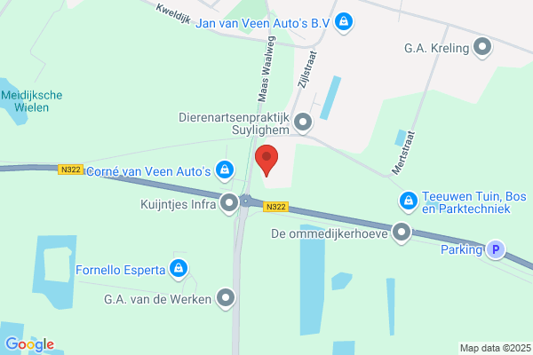 Heeren Van Suylighem Bv, De