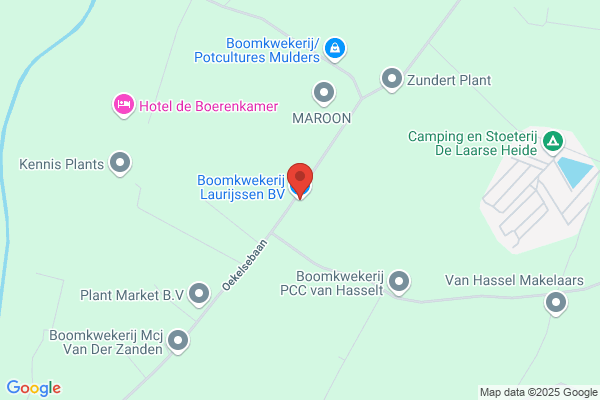 Boomkwekerij Laurijssen