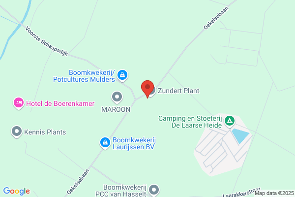 Boomkwekerijen Marcel Van Nijnatten En Zn Bv