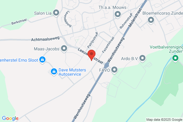 Cocon