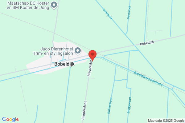 Vermeer Beveiligings Techniek