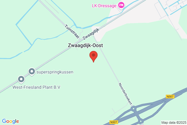 Jumbo