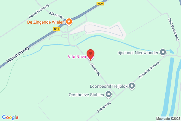 Vita Nova