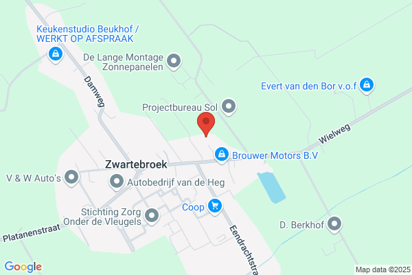Bor-Van Driel, I Van Den