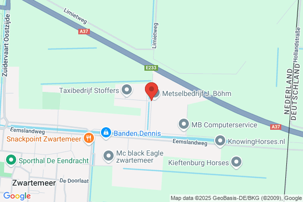 Bergsma, John