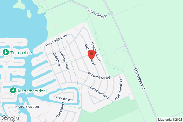 Assen, Draaiorgelverhuur B Van