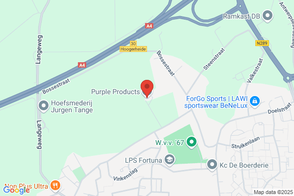 PurpleBusiness