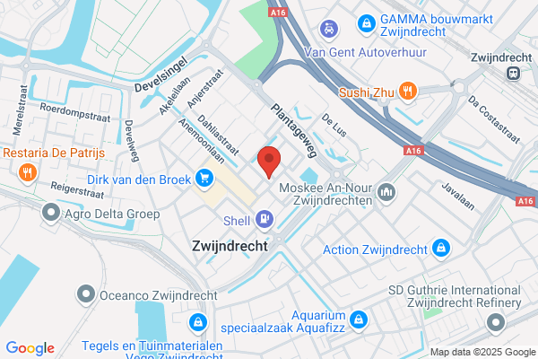 Raad Zwijndrecht Zuid Cv